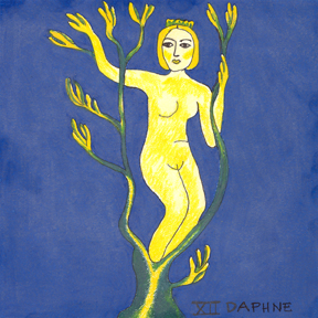 Daphne